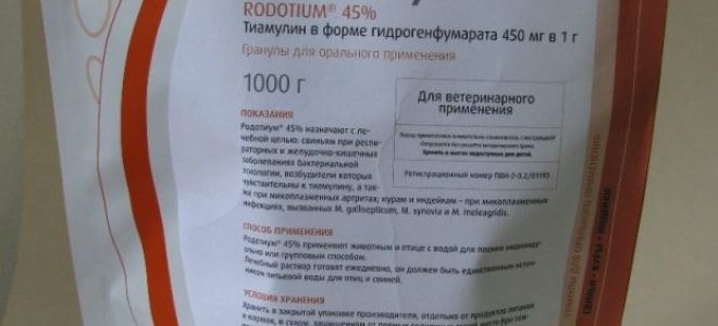 Обзор эффективных препаратов для лечения голубей – всё о домашней птице
