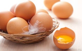 Вес куриного яйца: на заметку хозяйкам и заводчикам кур – всё о домашней птице