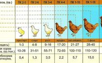 Калькулятор расходов и рецепт комбикорма для гусей (возраст 1-3 недель) – всё о домашней птице
