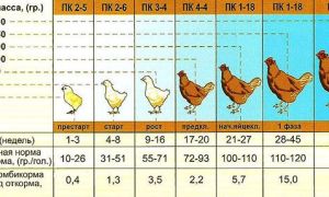 Калькулятор расходов и рецепт комбикорма для гусей (возраст 1-3 недель) – всё о домашней птице