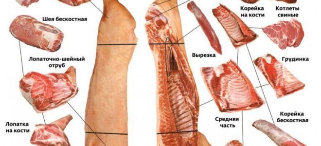 Учимся самостоятельно разделывать свиную тушу – всё о домашней птице