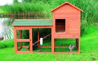 Дом, милый дом для ушастого питомца: делаем кролику домик – всё о домашней птице