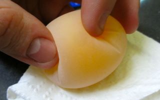 Яйцо без скорлупы: почему так происходит и как с этим бороться? – всё о домашней птице