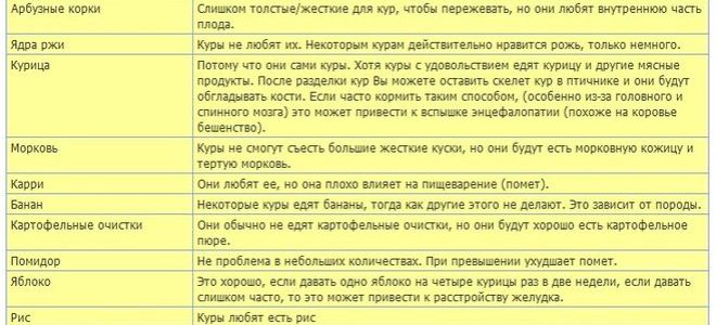 Меню цесарок: что можно, а что нельзя давать пернатым? – всё о домашней птице